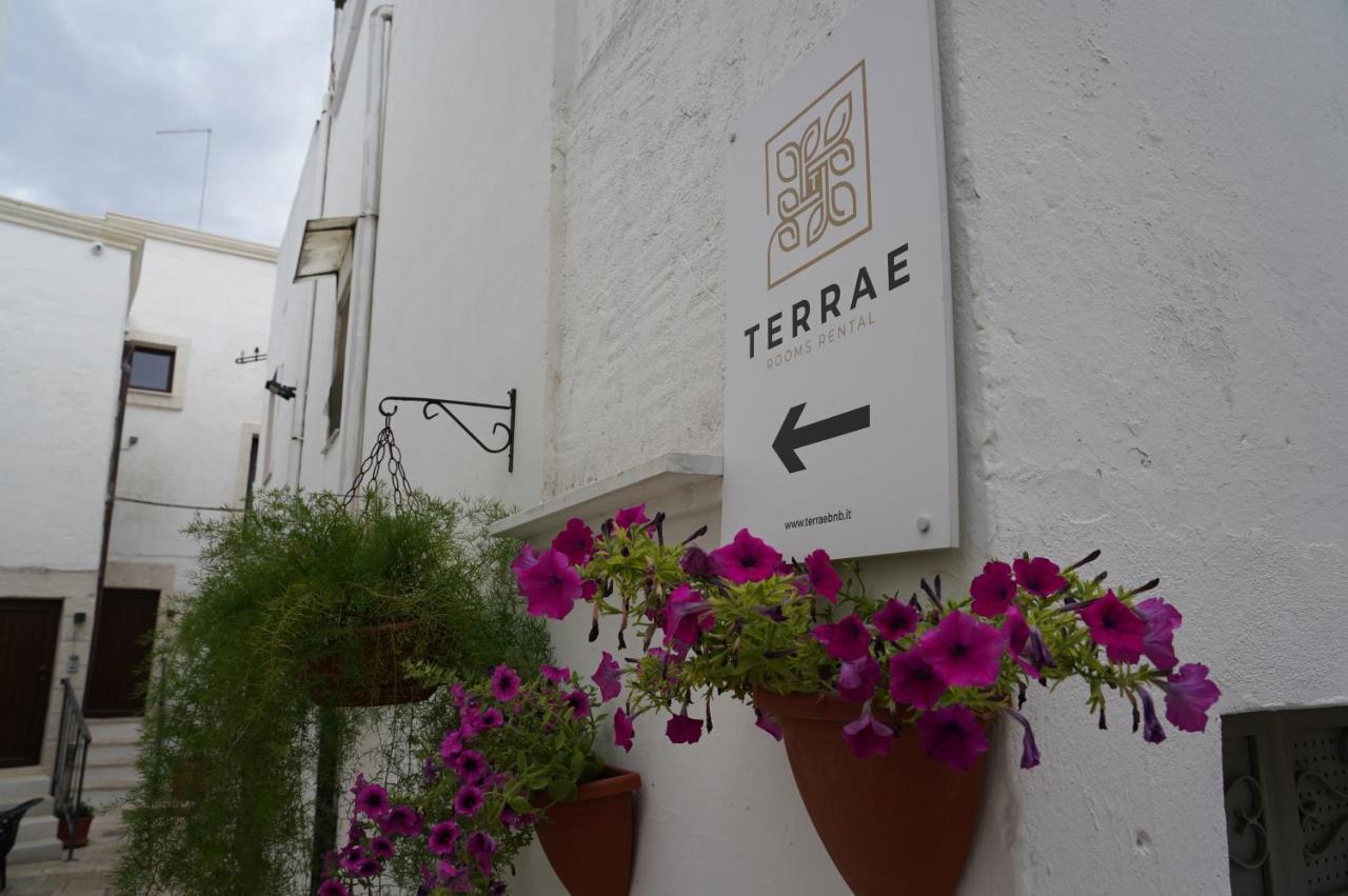 Terrae Rooms Rental เมซานเย ภายนอก รูปภาพ